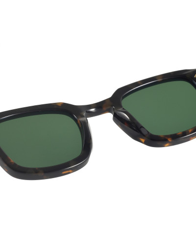 ISAAC - JAPANESE TORTOISE - G15 - HDA21-S7 JT