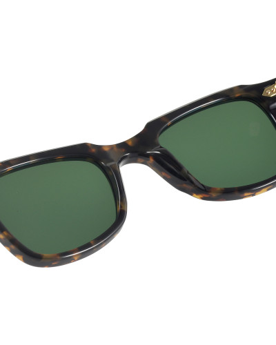 ARCHIBALD - JAPANESE TORTOISE - G15- HDA21-S7 JT