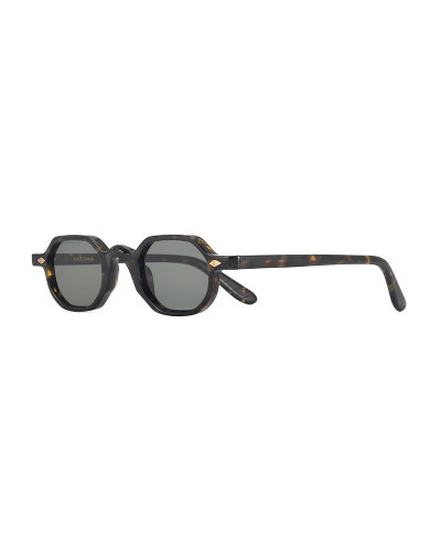 ALBIN  - JAPANESE TORTOISE - G15 - HDA6-S41